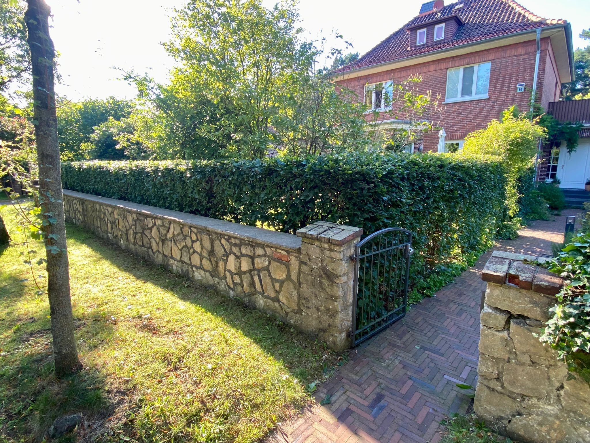 Großflächiger Heckenschnitt - Heckenservice Burgdorf Region Hannover