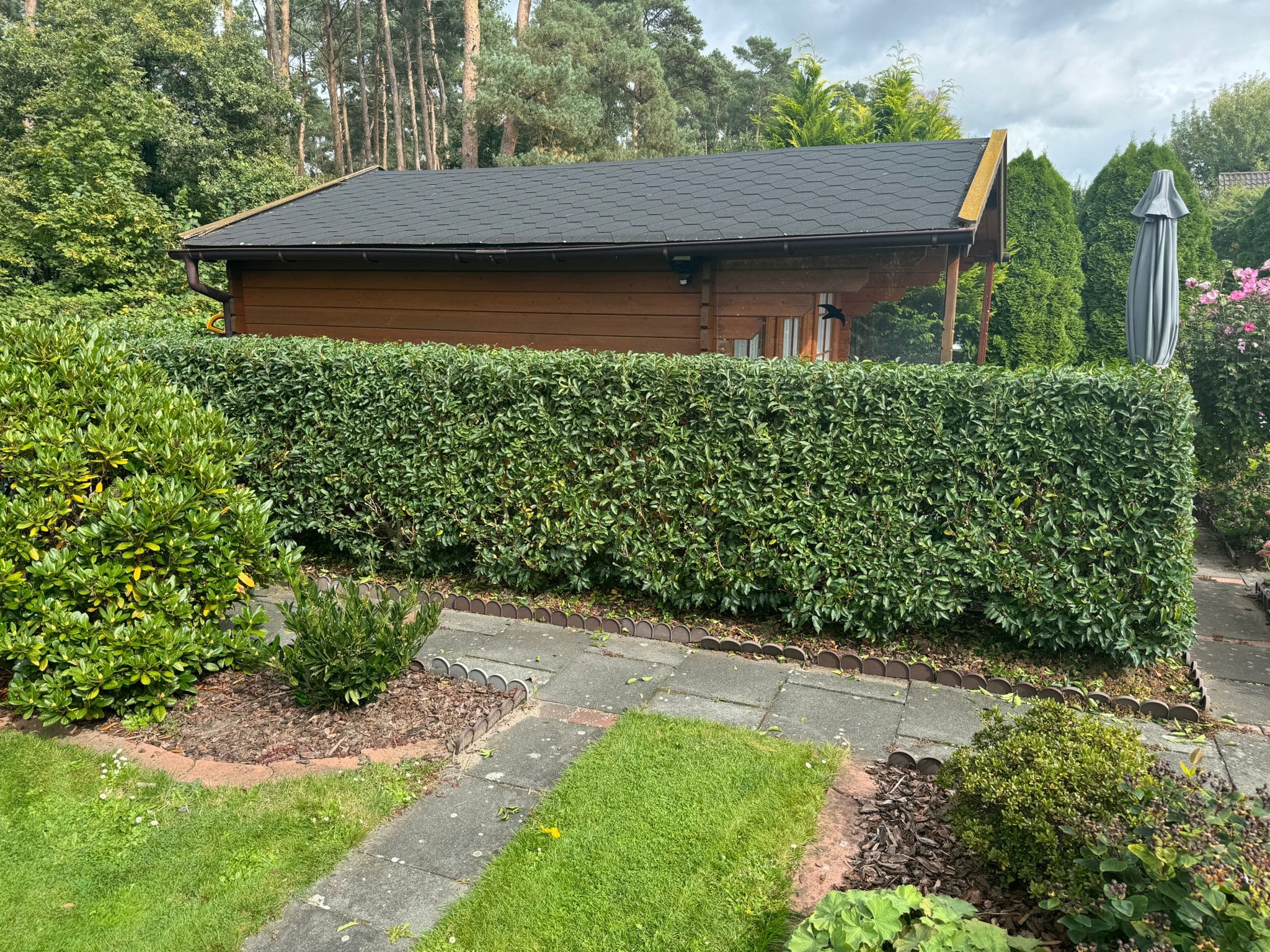 Präziser Heckenschnitt - Formschnitt Burgdorf