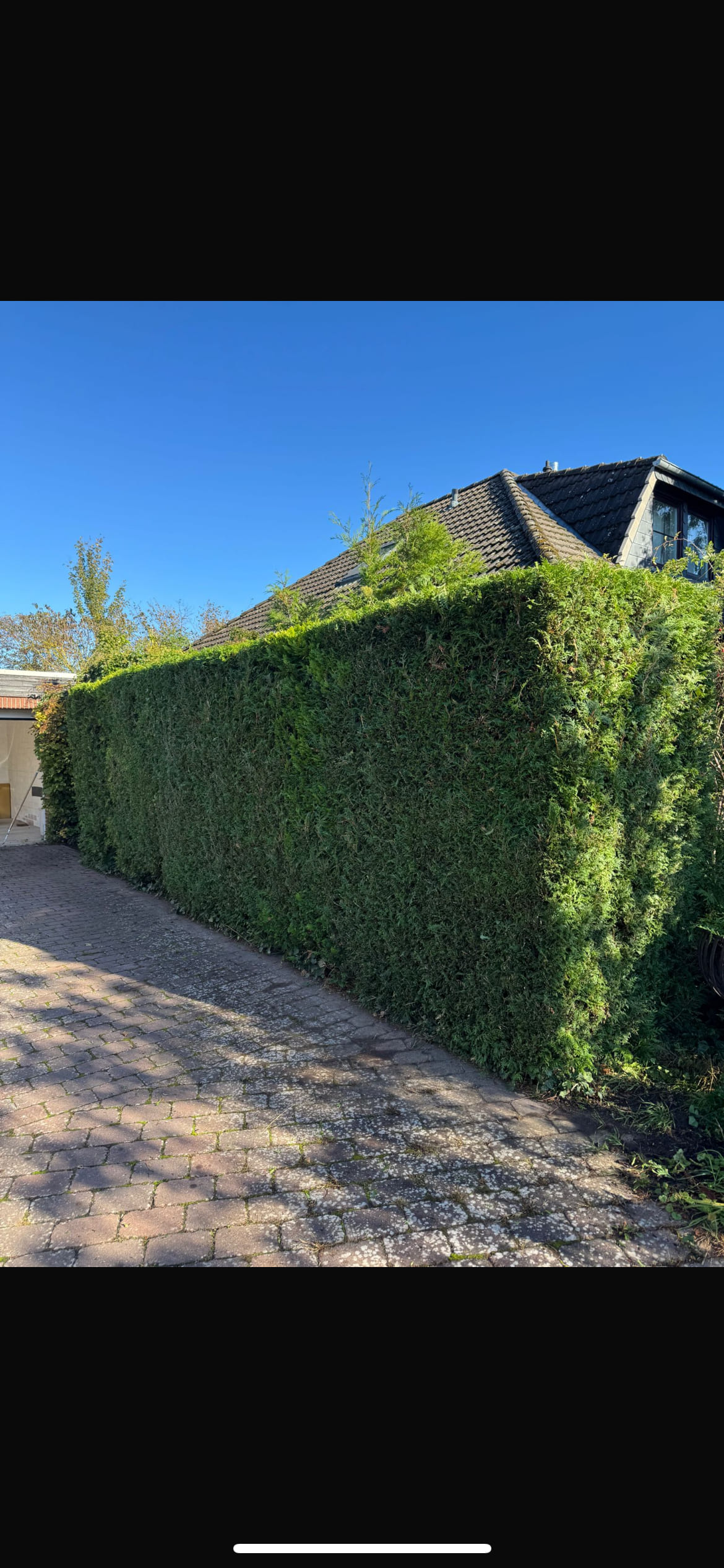 Gartenbau und Gartenpflege in Burgdorf - Rasenmähen, Heckenschnitt