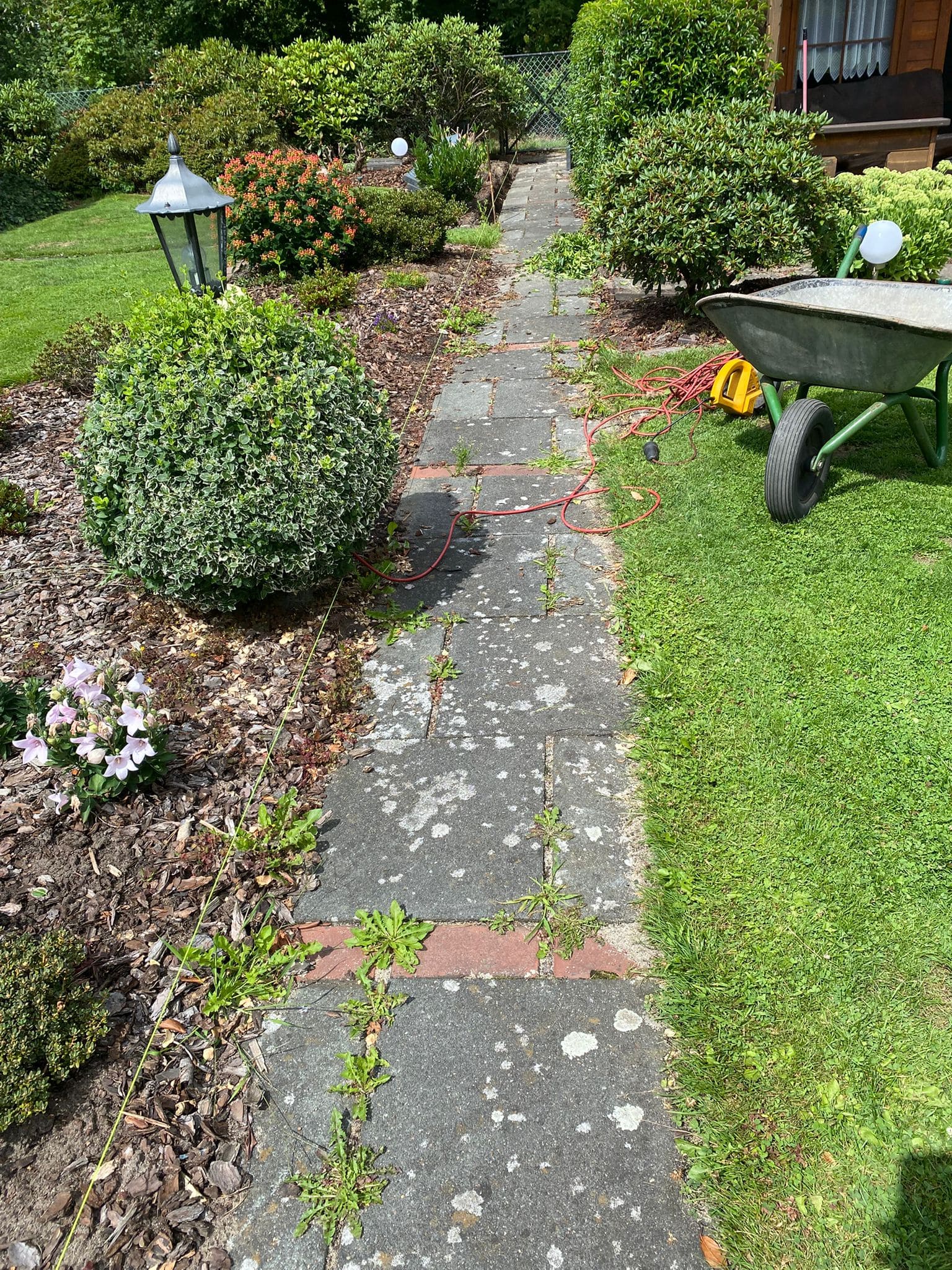Gehwegreinigung Burgdorf - Vorher: verwilderter Gehweg mit Unkraut